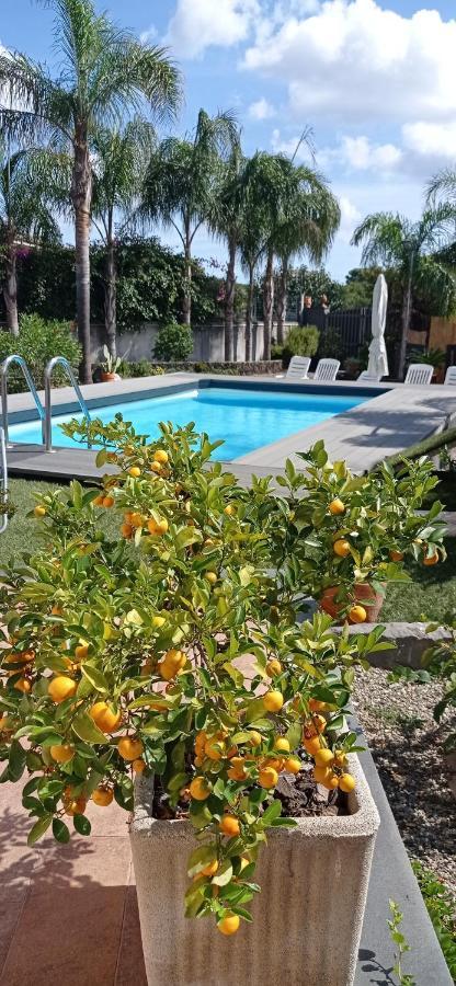 Le Stanze Dei Colori Otel Aci Bonaccorsi Dış mekan fotoğraf